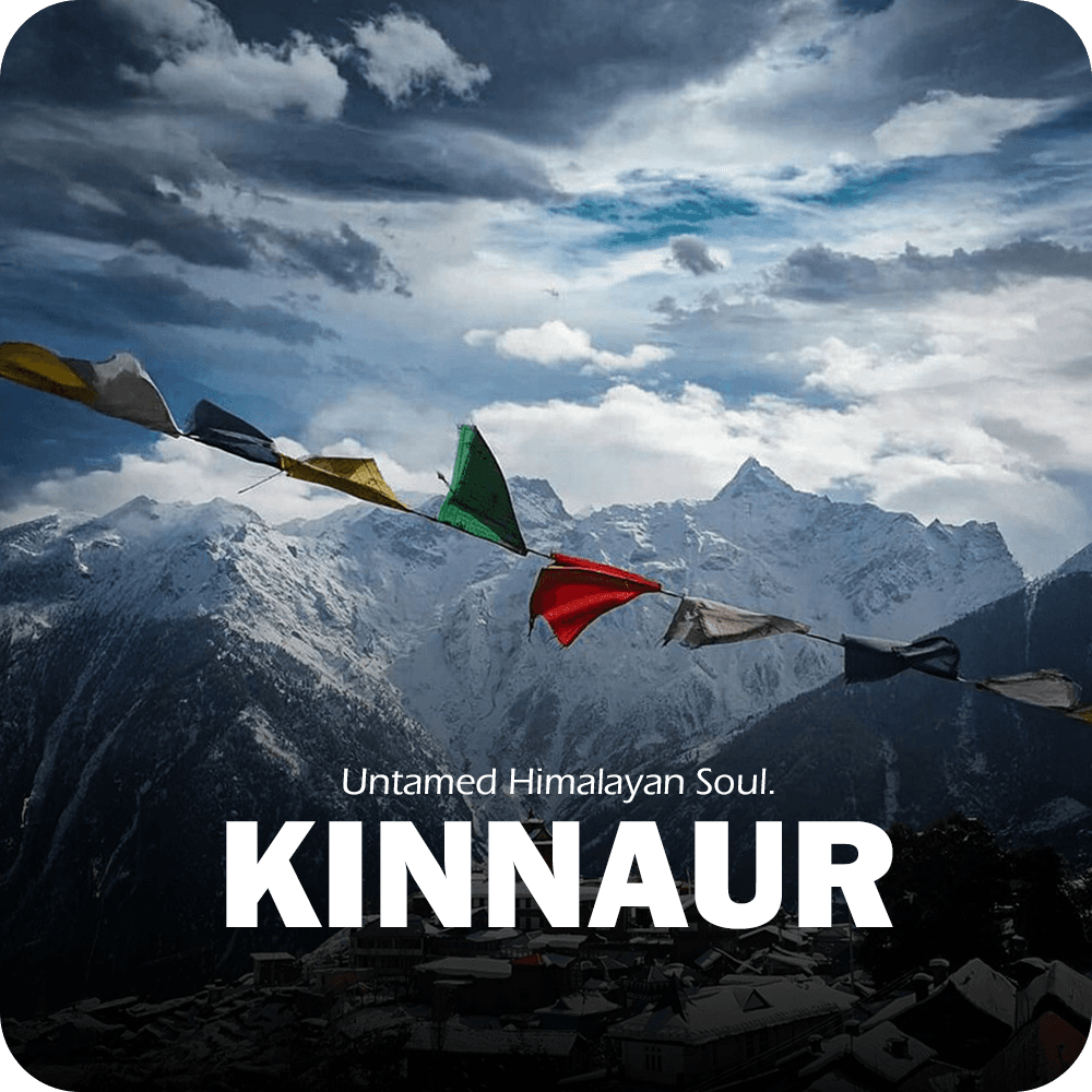 A vibrant scene from Goa