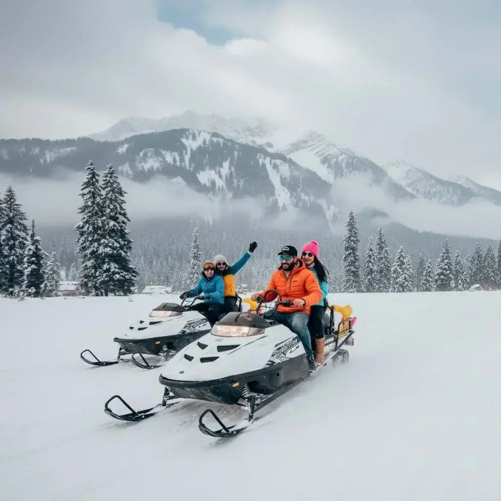 Snow And Mist Kashmir Wilderness Escape