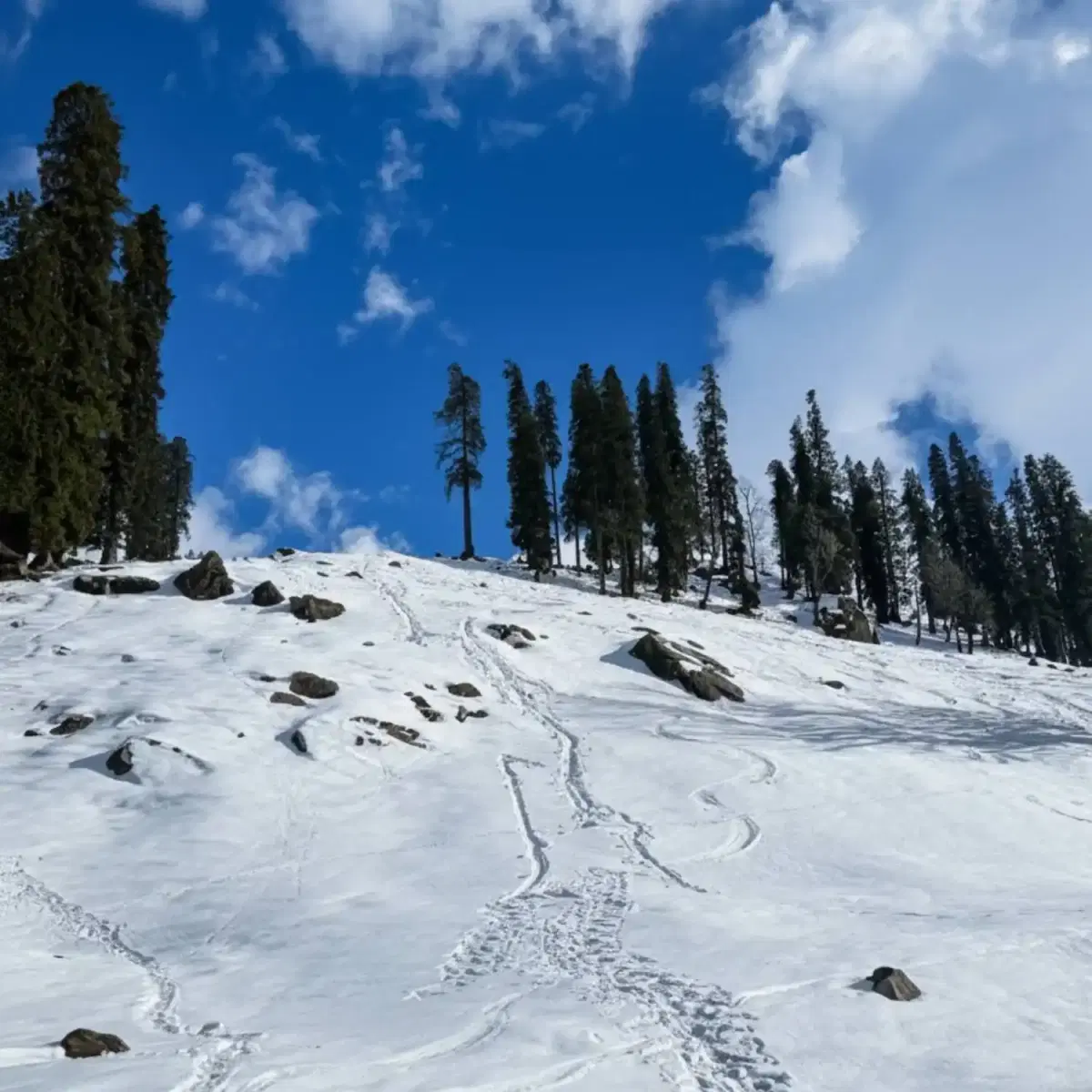 Manali Solang Sissu & Snow Village Sethan Budget Trip